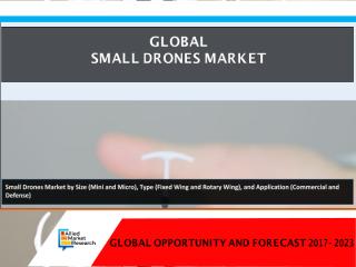 Small Drones Market.pdf