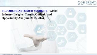 Fluoroelastomer Market.pdf