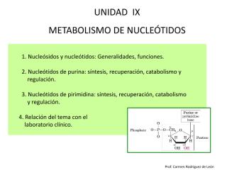 metabolismo de nucleotidos (1).pdf
