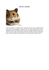 Descrivtive text Dion My Pet is a Hamster.docx
